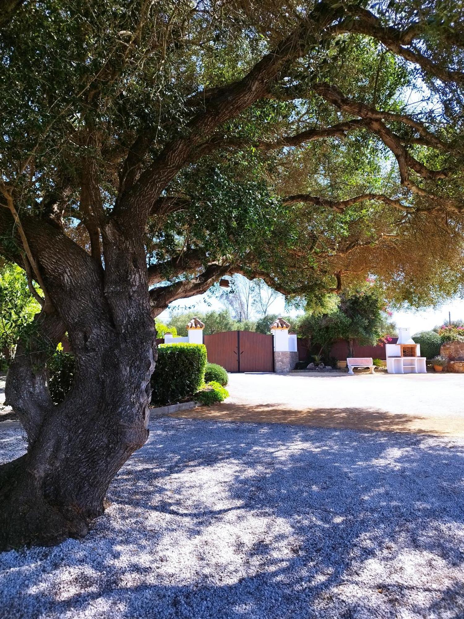 Malcocinado  Vivienda Rural Los Madronos מראה חיצוני תמונה
