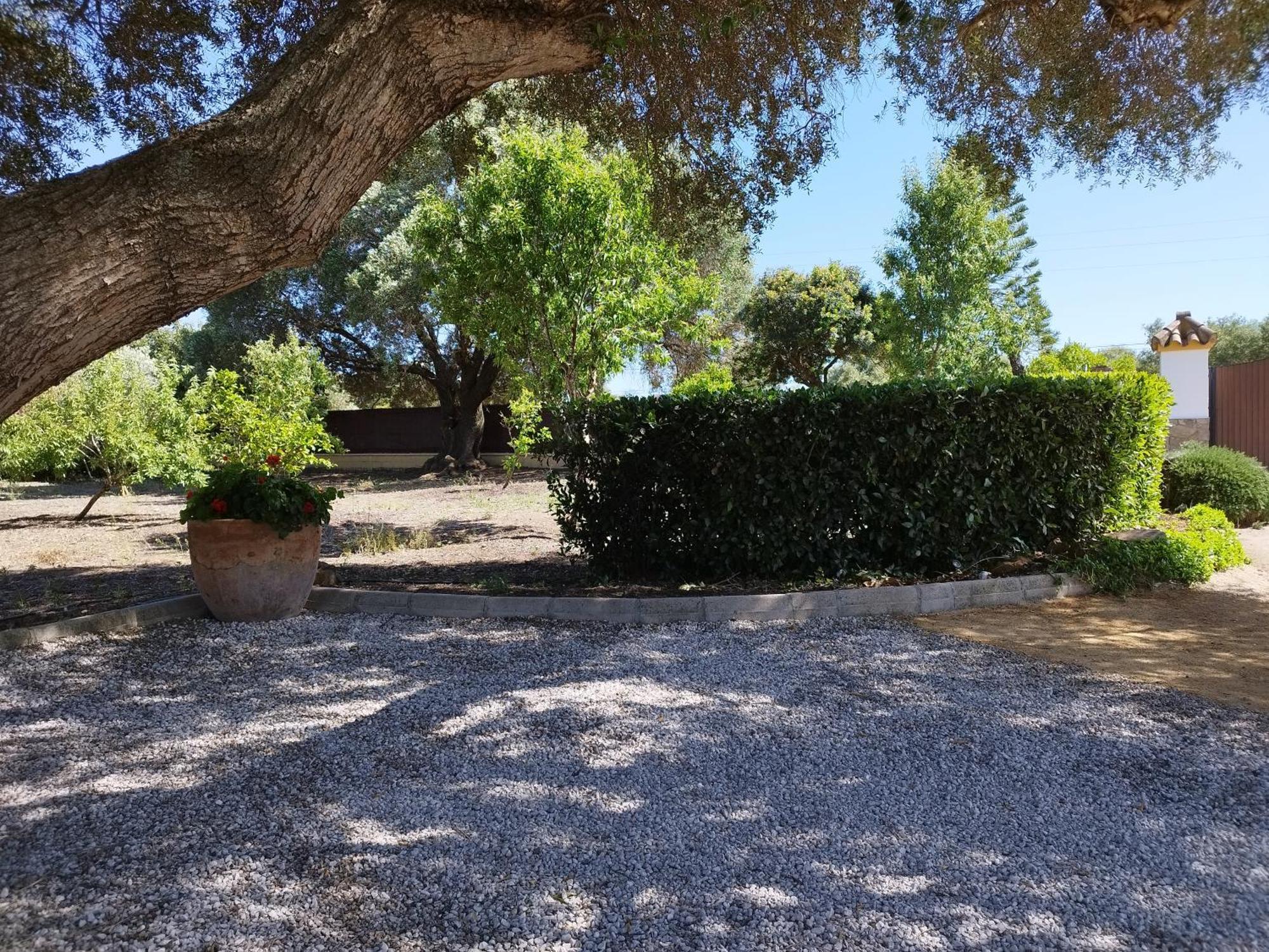 Malcocinado  Vivienda Rural Los Madronos מראה חיצוני תמונה